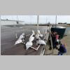 Antenna farm on roof.jpg